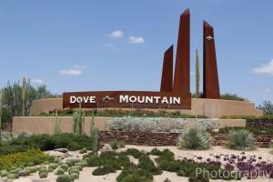 Dove Mountain Golf 