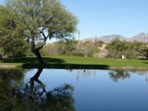 Forty Niner Country Club Tucson AZ