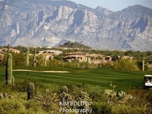 gallery dove mountain tucson az