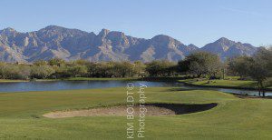 Golf Club at Vistoso tucson az