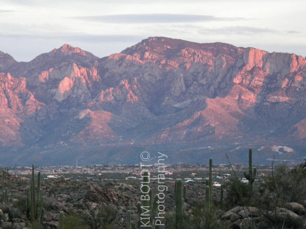 CATALINA RIDGE Is An Oro Valley Arizona Subdivision