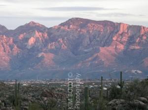 Catalina Shadows Subdivision Tucson AZ