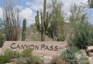 Canyon Pass Subdivision Tucson AZ