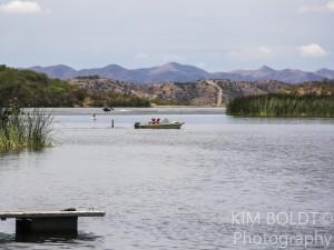 camping in tucson az