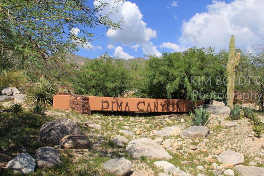 PIMA CANYON A Catalina Foothills Luxury Subdivision
