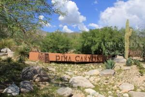 Pima Canyon Estates Homes for Sale