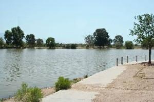 Silverbell Lake Tucson Fishing Program