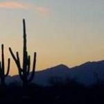 Tortolita Mountains