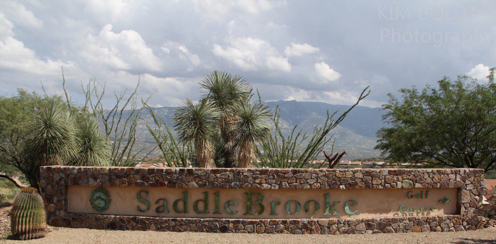 Discover What SaddleBrooke AZ Has to Offer 55+ Active Lifestyle