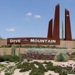 Dove Mountain Homes