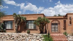 single story tucson homes