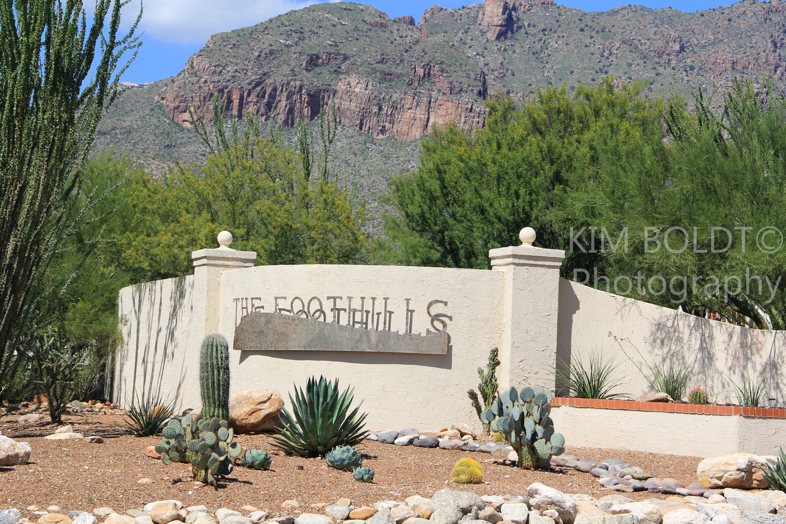 Catalina Foothills Attraction