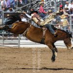 tucson attractions tucson rodeo