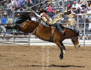 Tucson Rodeo