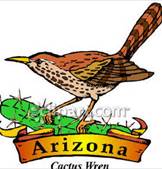Arizona State Bird Cactus Wren