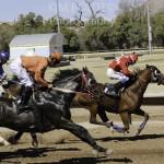 Rillito Park Horse Race