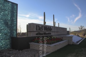 Homes for sale Del Webb At Dove Mountain