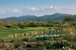 golf club at dove mountain