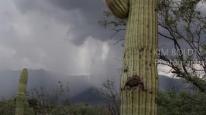 Monsoon season tucson arizona