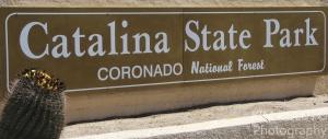 Catalina state park monument oro valley az