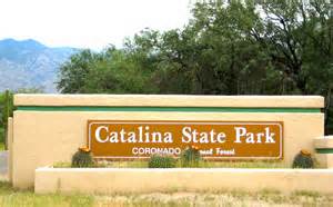 Visit Catalina State Park