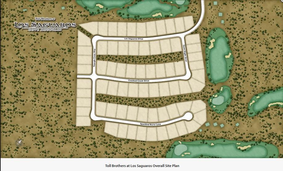Toll Brothers at los saguaros site plan overall