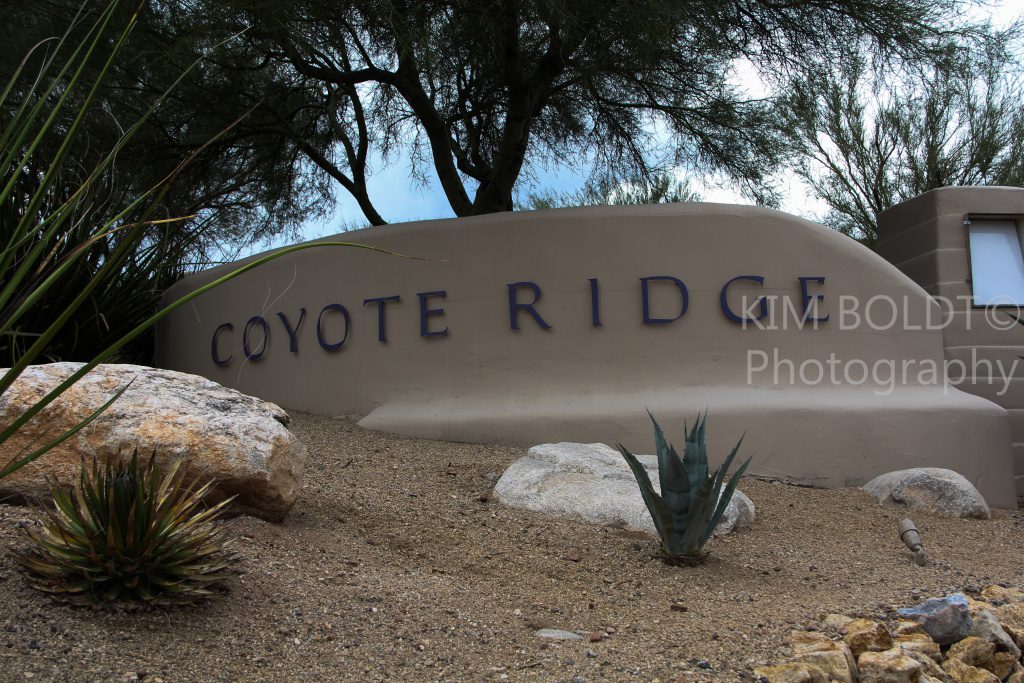 COYOTE RIDGE Oro Valley Luxury Home Subdivision