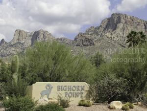 bighorn point la reserve homes for sale