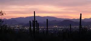 a lot of Tucson Arizona cacti