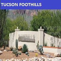 Catalina Foothills az homes