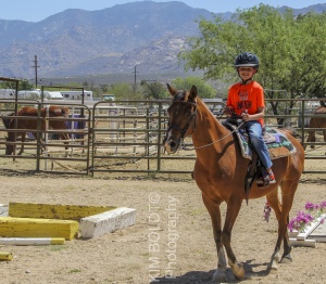 Tucson Horse Property sales July 2017