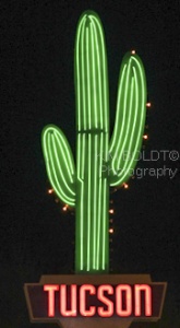 Tucson Cactus sign