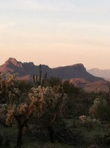 Tucson Mountains In Arizona Season to Buy 