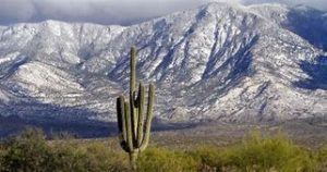 winter in tucson