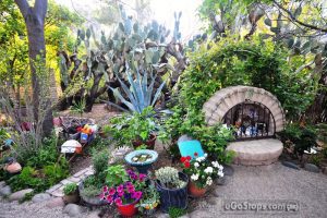 Botanical Gardem Tucson